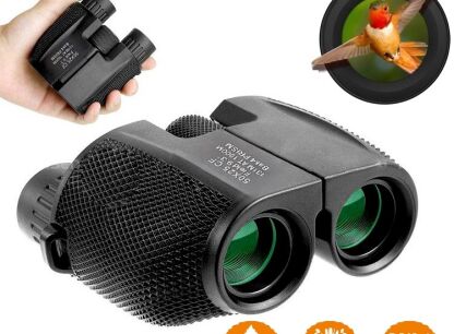 Binocular and monocular