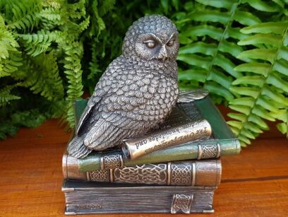 SNOW OWL ON BOOKS TRINKET BOX VERONESE  (WU75510A4)