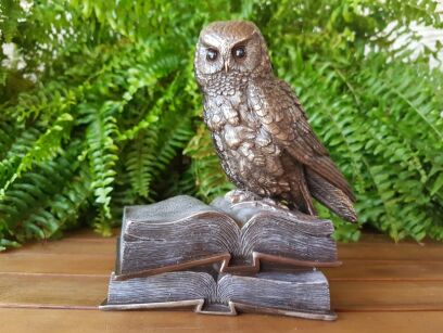 PROVE THE BOOK OF WISDOM OWL VERONESE (WU74109A4)