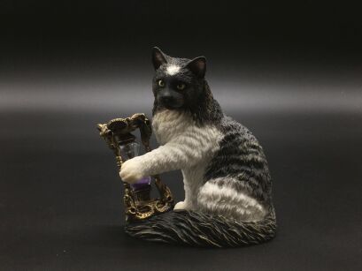 CAT WITH THE HOURGLASS OF LISA PARKER VERONESE (WU76991AA)
