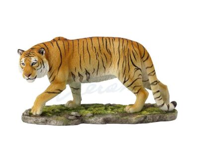 TIGER COLOR VERONESE (WU77490AA)