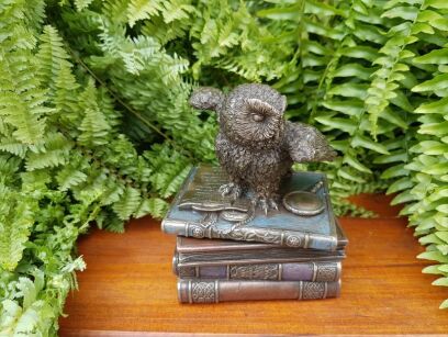 SNOW OWL FLAP WINGS ON BOOKS TRINKET BOX (WU75511A4)