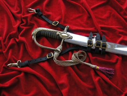 UNIVERSAL FROGS FOR ALL TYPE OF POLISH SABRES BROWN