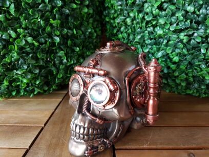 WONDERFUL SKULL CASKET- STEAMPUNK VERONESE (WU76568A4)