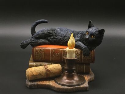 CAT ON BOOKS OF LISA PARKER VERONESE (WU76992VA)